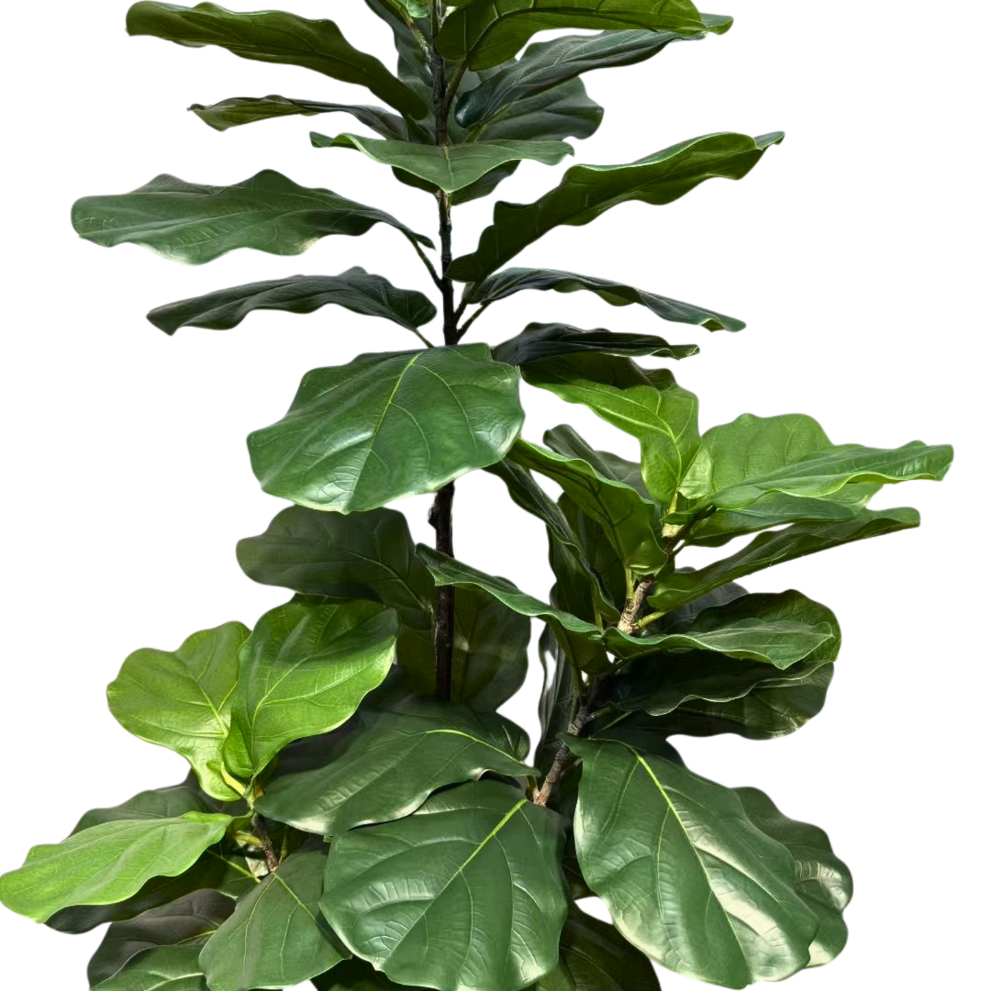 Artificial Fiddle Leaf Fig Tree | Realistic Faux Fiddle Leaf for Home Decor