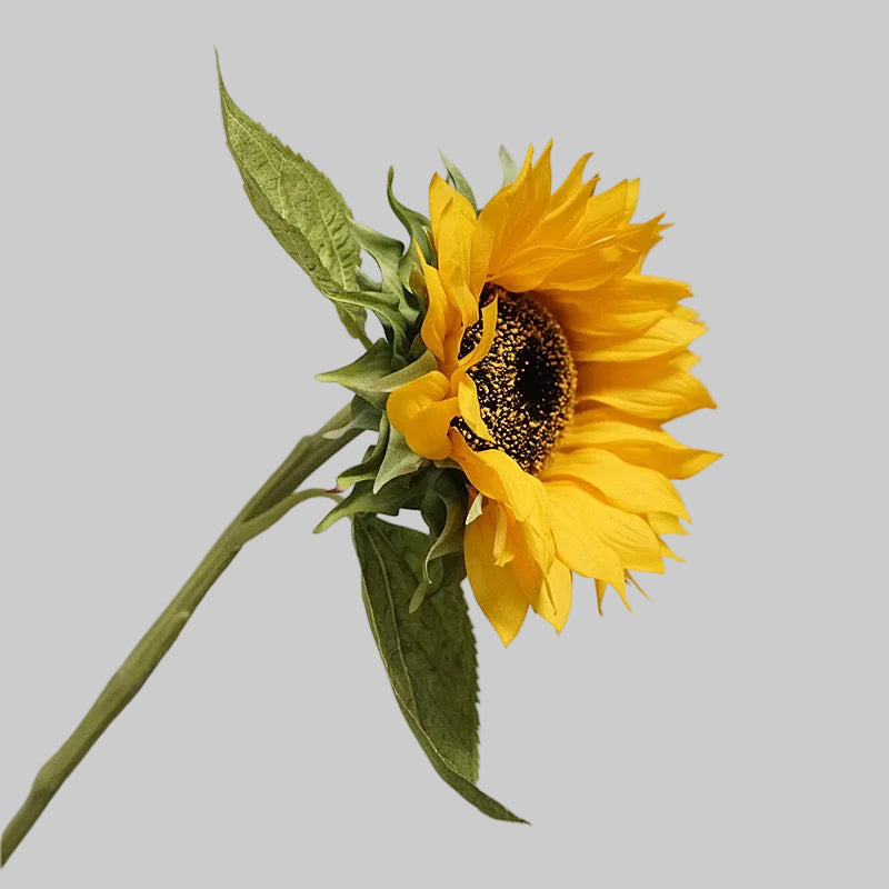 Real Touch Sunflower Stem 28" (70cm) | Artificial Sunflower | 4 Colors