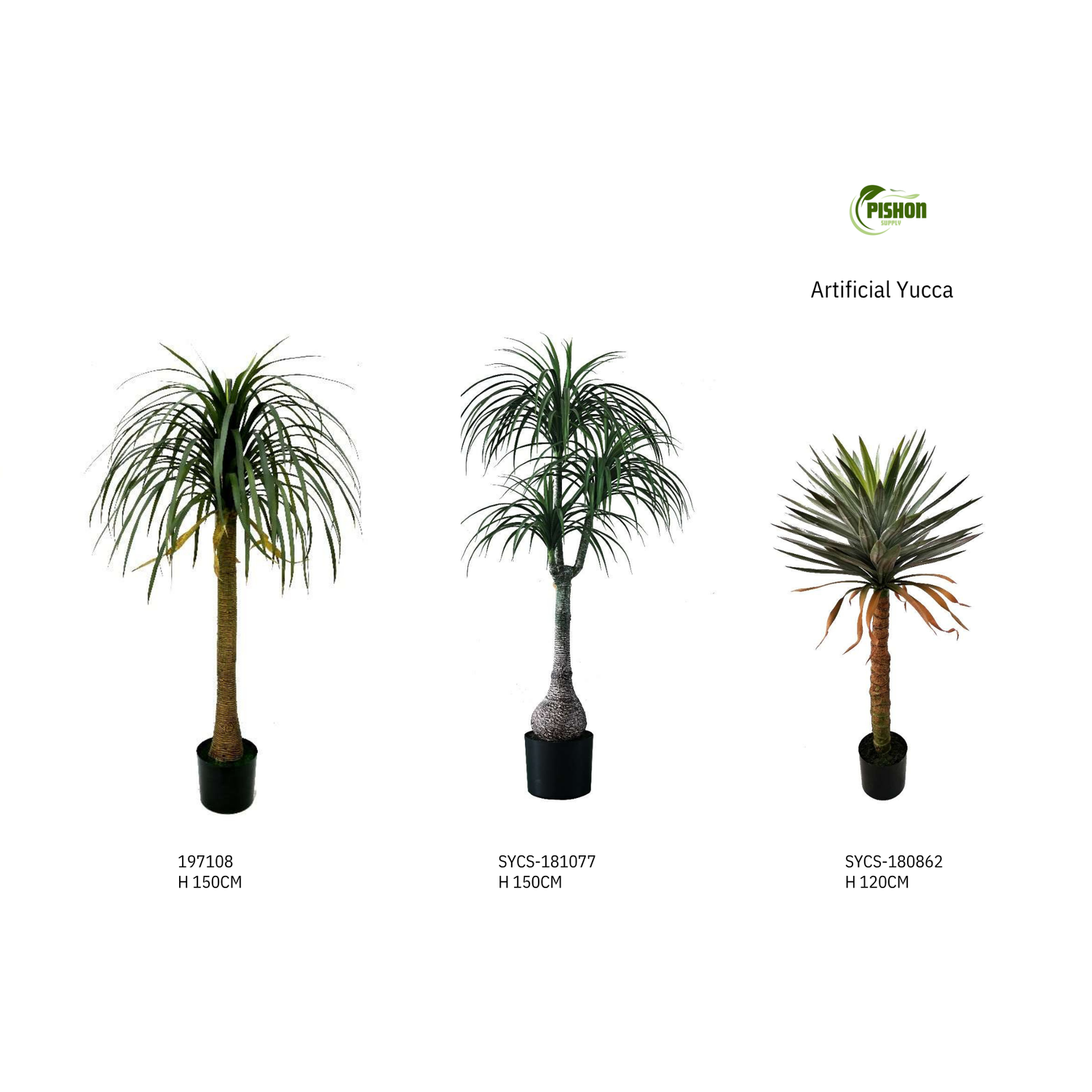 Sculptural Plants