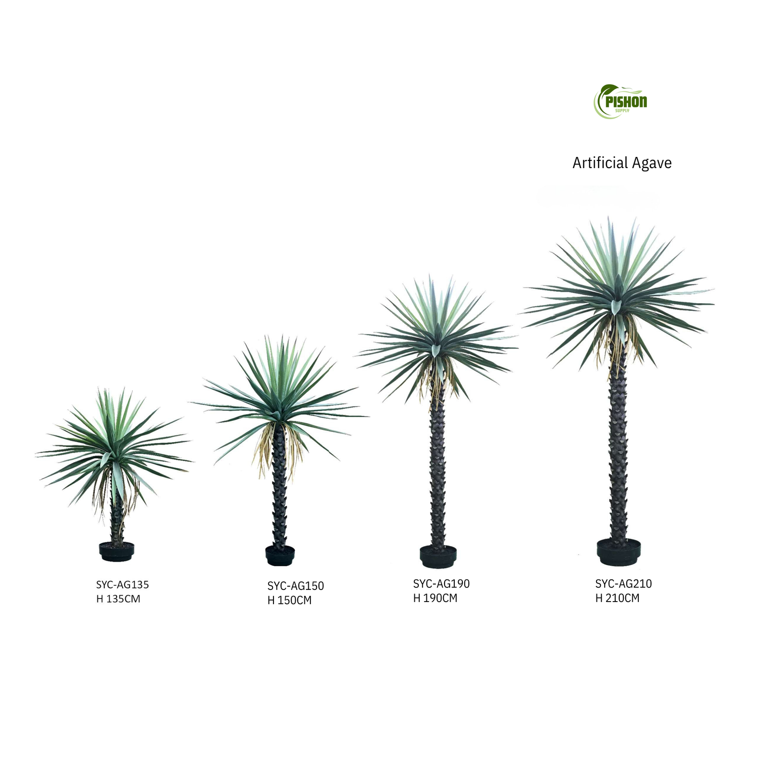 Desert Plants
