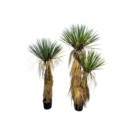 Artificial Yucca Tree | Realistic Faux Desert Plant for Home Decor