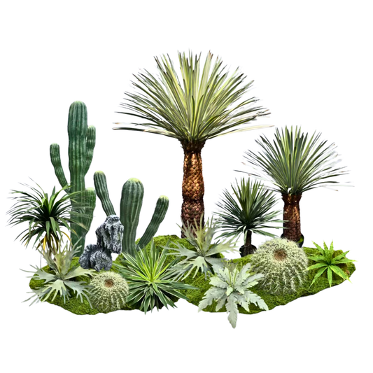 Tropical Desert Oasis Collection | Premium Artificial Palm, Cactus & Agave Set