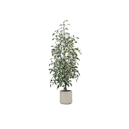 Artificial Ficus Tree | With Pot | Single Trunk