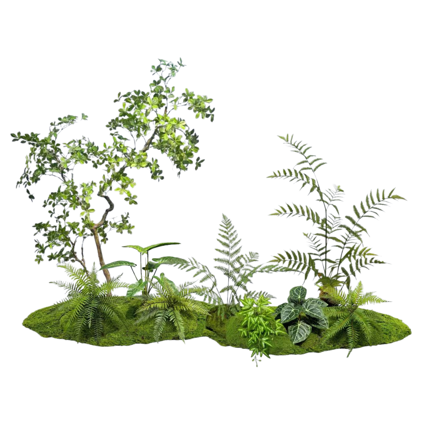 Zen Forest Garden Collection | Premium Artificial Bonsai, Fern & Moss Landscape Set