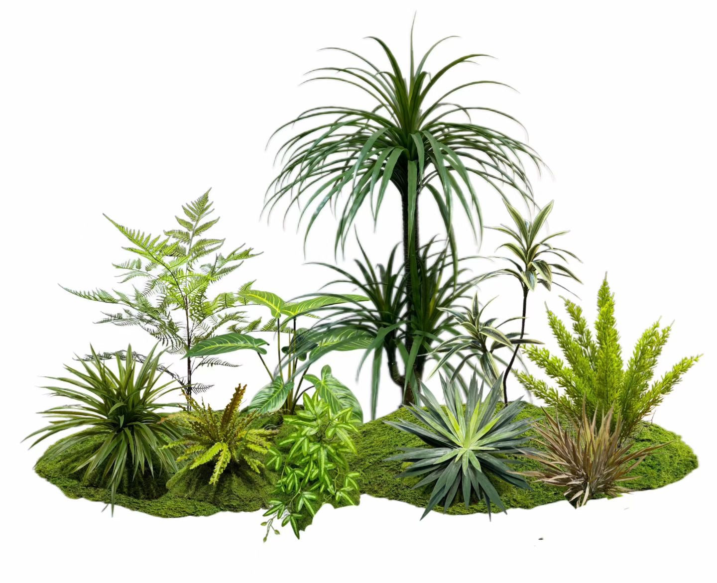Tropical Rainforest Collection | Premium Artificial Fern, Dracaena & Tropical Plant Set
