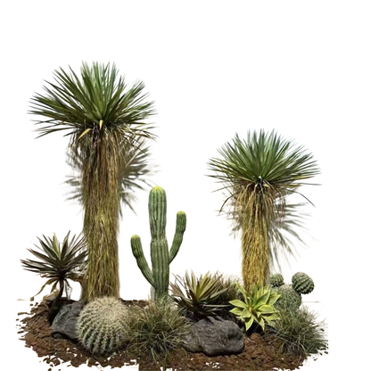 Desert Oasis Collection | Premium Artificial Yucca, Cactus & Agave Set