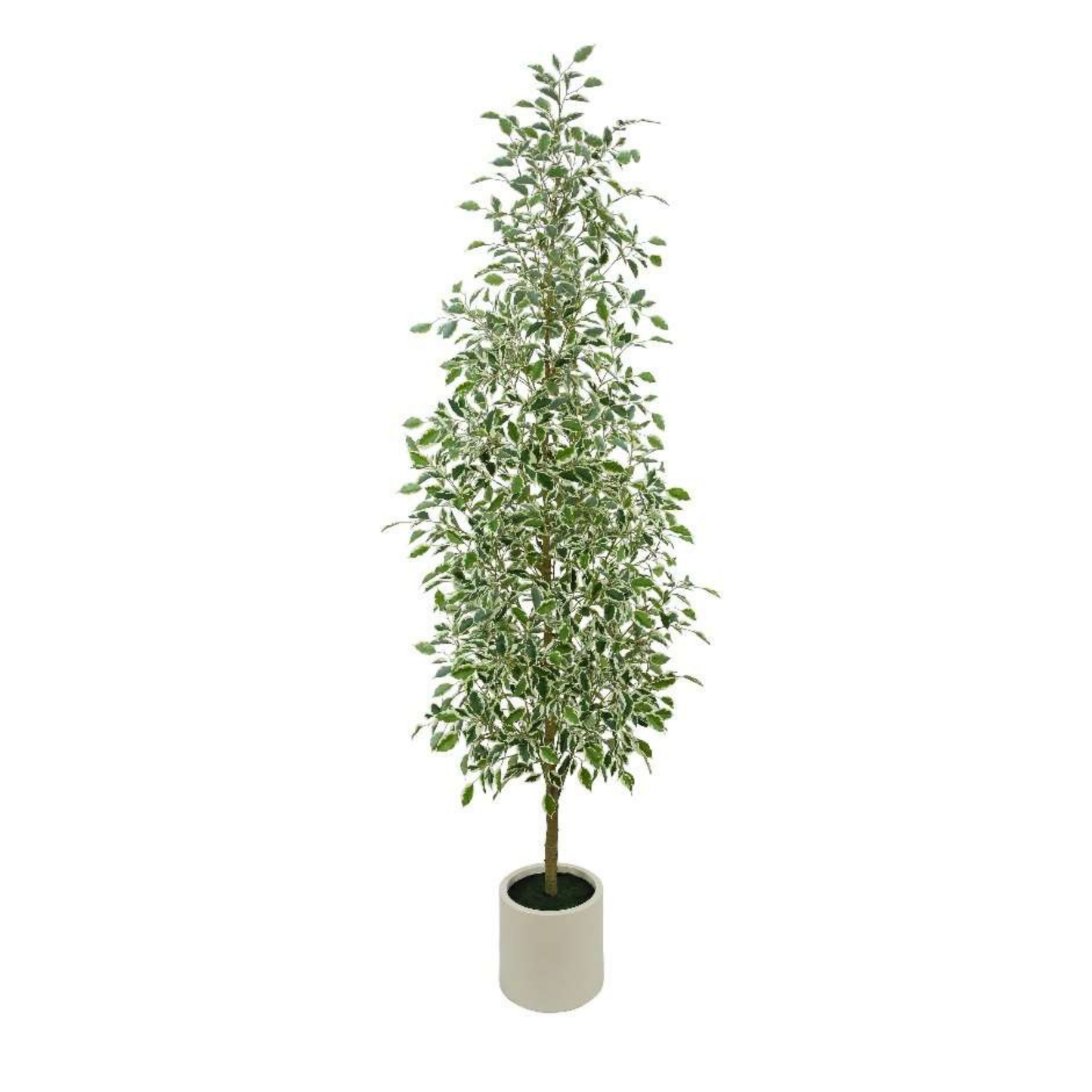 Artificial Ficus Tree | With Pot | Single Trunk