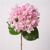 Blush Pink
