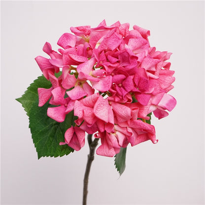 Real Touch Curled-Petal Hydrangea Stem 25" (63cm) | Artificial Flowers | 13 Colors