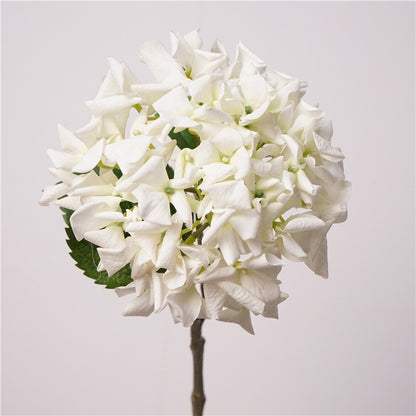 Real Touch Curled-Petal Hydrangea Stem 25" (63cm) | Artificial Flowers | 13 Colors