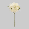 Cream White