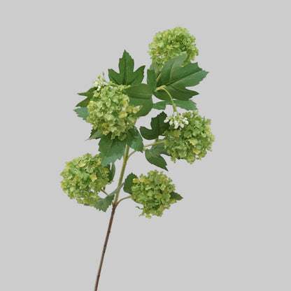 Artificial Viburnum Branch | 5-Head Faux Snowball Flower Stem | Multiple Colors