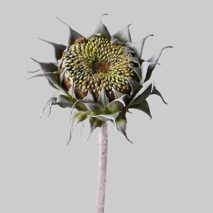 Soft Gel Sunflower Stem 24" (60cm) | Artificial Sunflower | 4 Colors