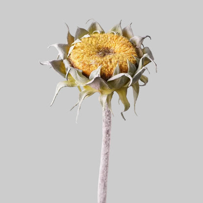 Soft Gel Sunflower Stem 24" (60cm) | Artificial Sunflower | 4 Colors