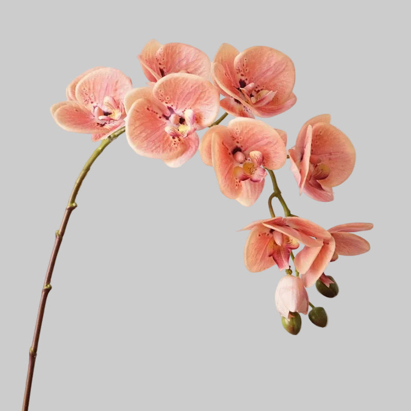 Real Touch Orchid Stem 37" (93cm) | 10 Blooms | Artificial Orchid | 7 Colors