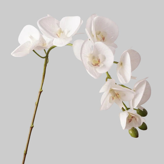 Real Touch Orchid Stem 37" (93cm) | 10 Blooms | Artificial Orchid | 7 Colors