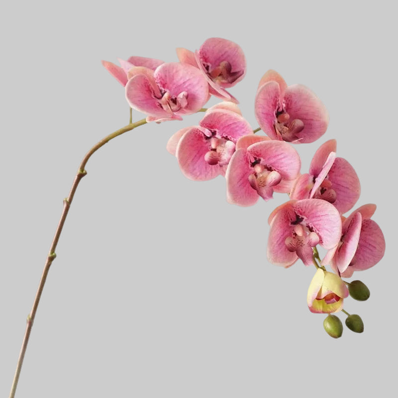 Real Touch Orchid Stem 37" (93cm) | 10 Blooms | Artificial Orchid | 7 Colors