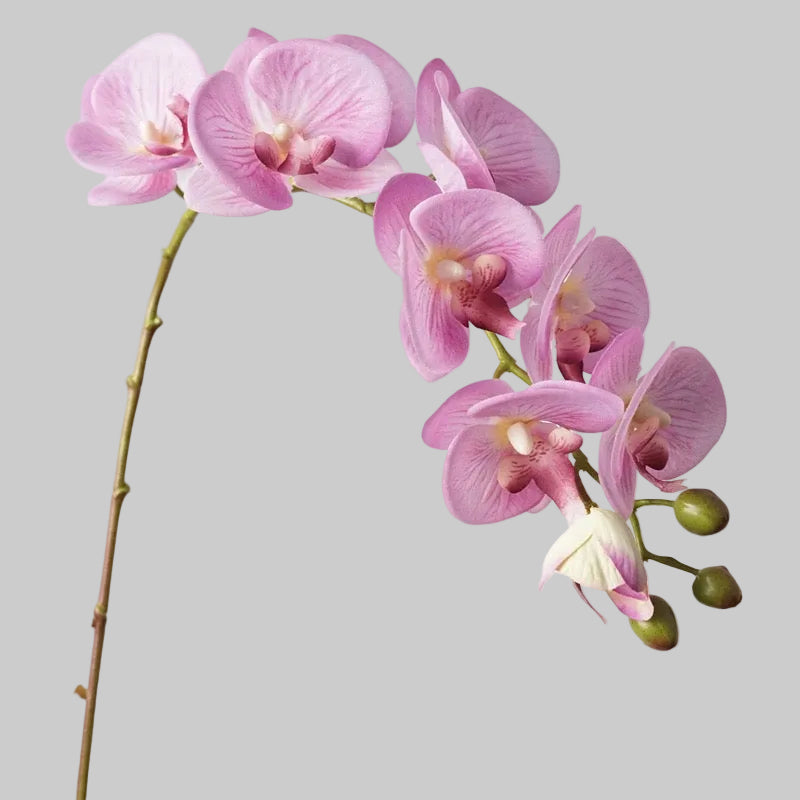 Real Touch Orchid Stem 37" (93cm) | 10 Blooms | Artificial Orchid | 7 Colors