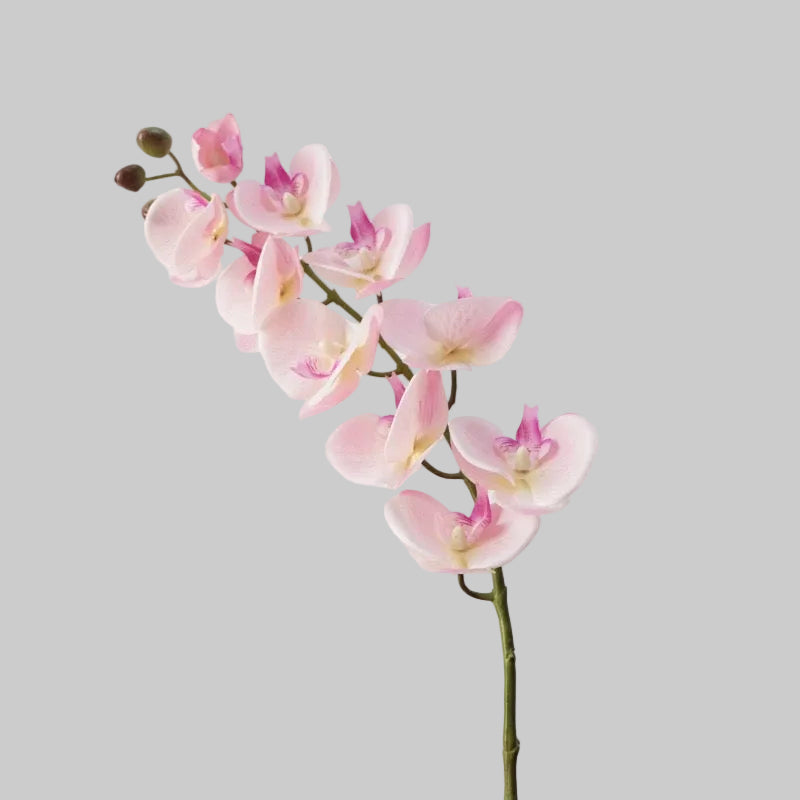 Real Touch Orchid Stem 37" (93cm) | 10 Blooms | Artificial Orchid | 7 Colors