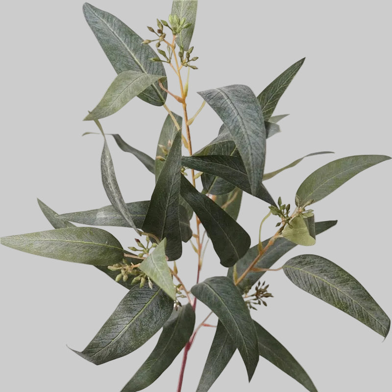 Faux Eucalyptus Branch Stem with Seed Pods