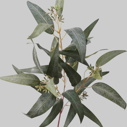Faux Eucalyptus Branch Stem with Seed Pods