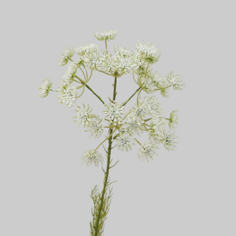Faux Queen Anne's Lace Stem – 25" Artificial Wildflower