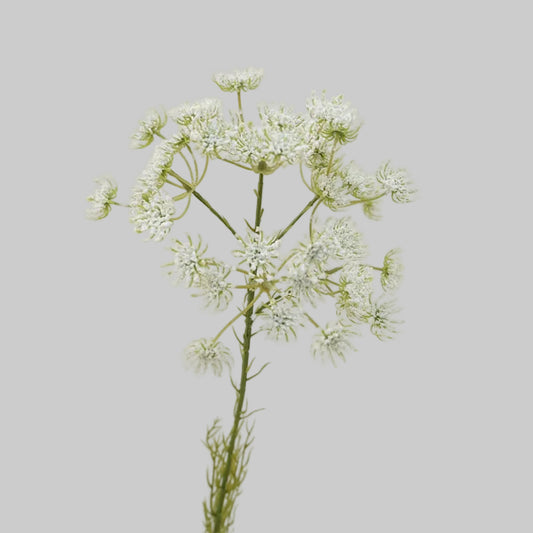 Faux Queen Anne's Lace Stem – 25" Artificial Wildflower