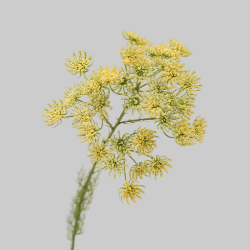 Faux Queen Anne's Lace Stem – 25" Artificial Wildflower