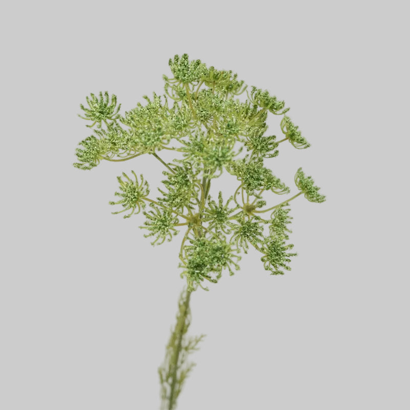 Faux Queen Anne's Lace Stem – 25" Artificial Wildflower