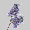 Periwinkle