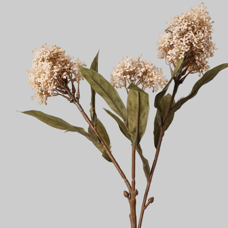 Autumn Skimmia Stem