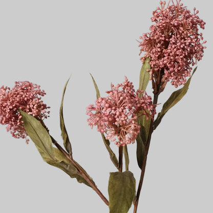 Autumn Skimmia Stem
