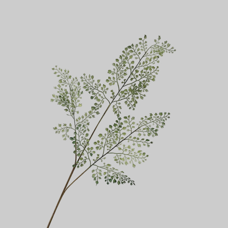 Artificial Fern Stem 33" (83cm) | 3-Branch Soft Gel Foliage | 4 Styles