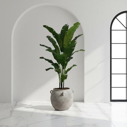 Bird of Paradise - Exact Product in Arched Interior