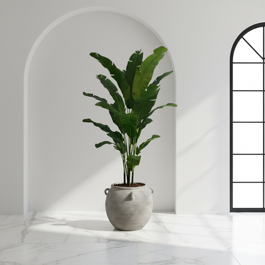 Bird of Paradise - Exact Product in Arched Interior