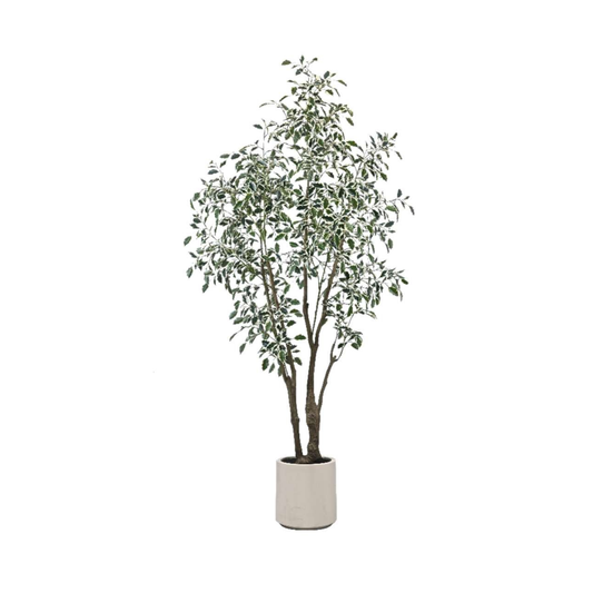 Artificial Ficus Tree | With Pot | Multi Trunk