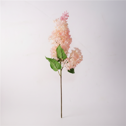 Light Pink 丁香白底图