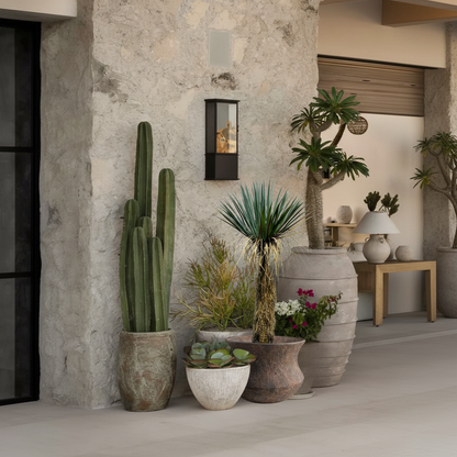 Mediterranean Entryway - Yucca 135cm Scene