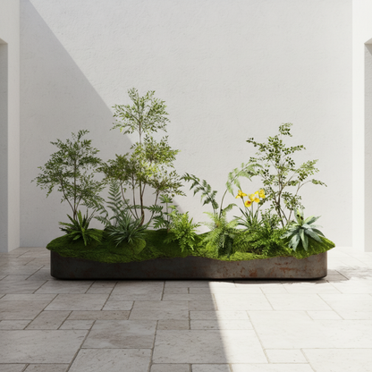 Outdoor Courtyard