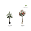 White Rose 3.6ft (1.1m)